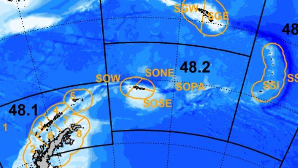 Antarctic krill fishing area 48